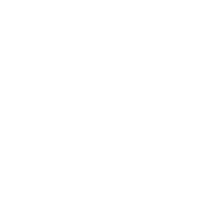 ds-logo1